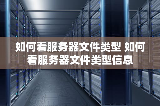 如何看服务器文件类型 如何看服务器文件类型信息