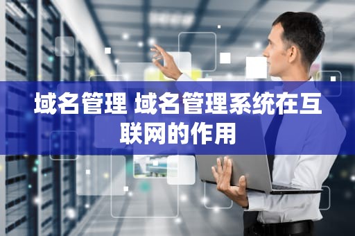 域名管理 域名管理系统在互联网的作用