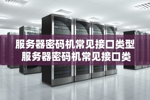 服务器密码机常见接口类型 服务器密码机常见接口类型有哪些