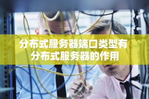 分布式服务器端口类型有 分布式服务器的作用