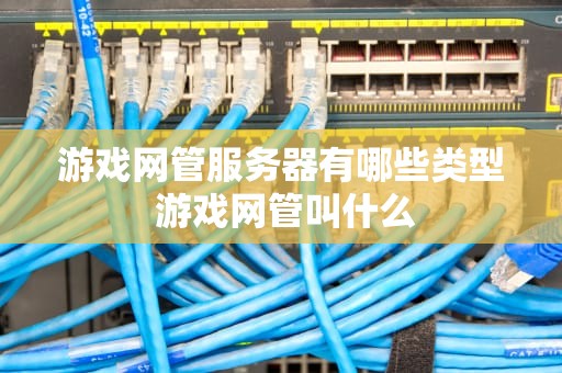 游戏网管服务器有哪些类型 游戏网管叫什么