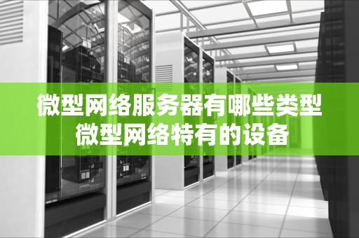 微型网络服务器有哪些类型 微型网络特有的设备