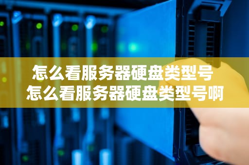 怎么看服务器硬盘类型号 怎么看服务器硬盘类型号啊
