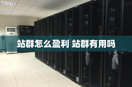 站群怎么盈利 站群有用吗