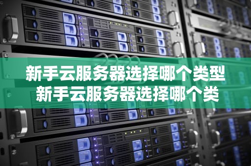 新手云服务器选择哪个类型 新手云服务器选择哪个类型的