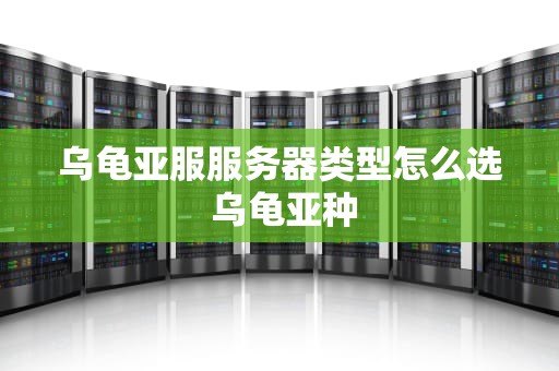 乌龟亚服服务器类型怎么选 乌龟亚种