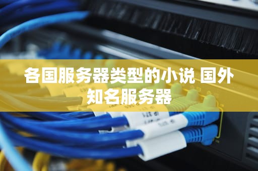 各国服务器类型的小说 国外知名服务器
