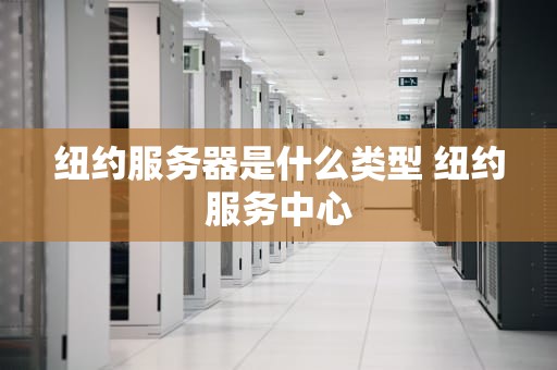 纽约服务器是什么类型 纽约服务中心