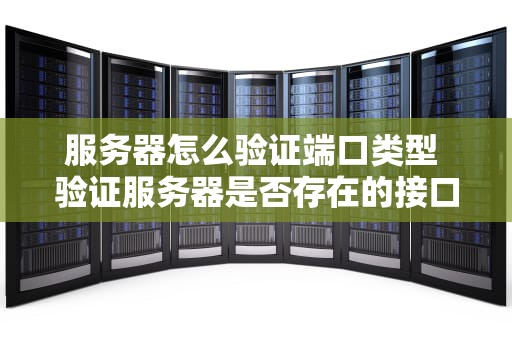 服务器怎么验证端口类型 验证服务器是否存在的接口是什么