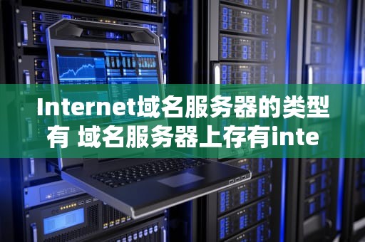 Internet域名服务器的类型有 域名服务器上存有internet主机的