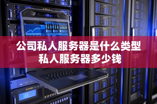 公司私人服务器是什么类型 私人服务器多少钱