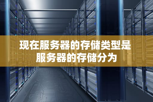 现在服务器的存储类型是 服务器的存储分为