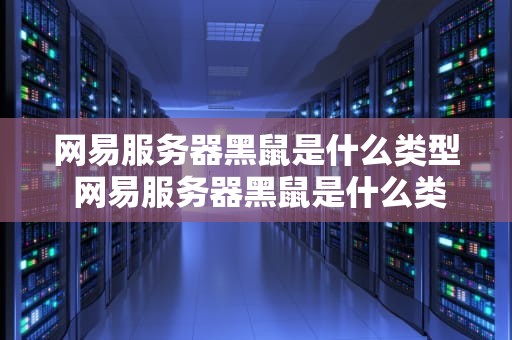 网易服务器黑鼠是什么类型 网易服务器黑鼠是什么类型的软件