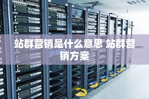 站群营销是什么意思 站群营销方案
