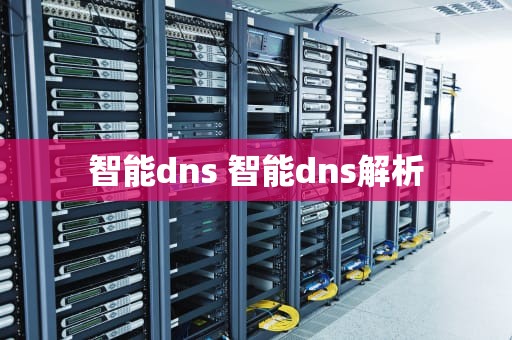 智能dns 智能dns解析