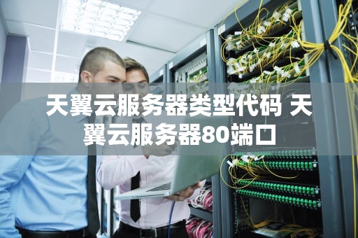 天翼云服务器类型代码 天翼云服务器80端口