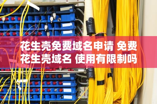 花生壳免费域名申请 免费花生壳域名 使用有限制吗？