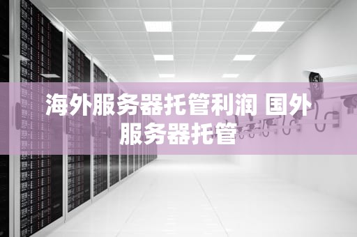 海外服务器托管利润 国外服务器托管
