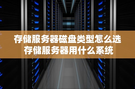 存储服务器磁盘类型怎么选 存储服务器用什么系统