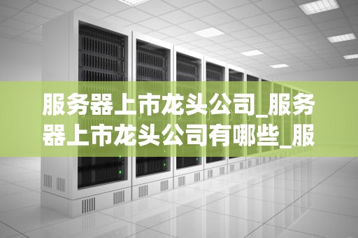 服务器上市龙头公司_服务器上市龙头公司有哪些_服务器上市龙头公司的发展与挑战