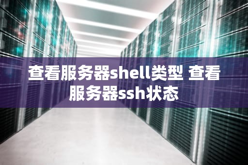 查看服务器shell类型 查看服务器ssh状态