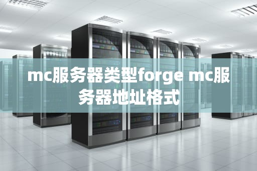 mc服务器类型forge mc服务器地址格式