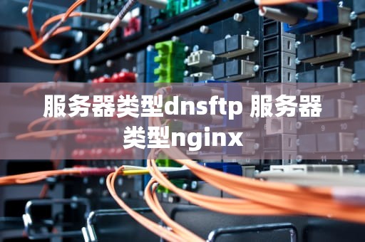 服务器类型dnsftp 服务器类型nginx