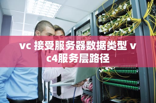 vc 接受服务器数据类型 vc4服务层路径
