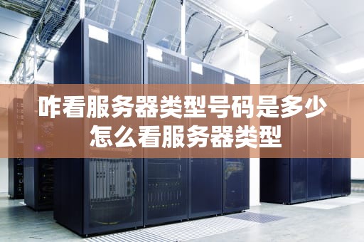 咋看服务器类型号码是多少 怎么看服务器类型