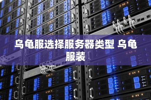 乌龟服选择服务器类型 乌龟服装