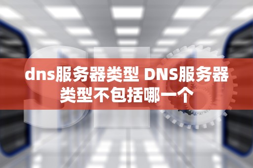 dns服务器类型 DNS服务器类型不包括哪一个