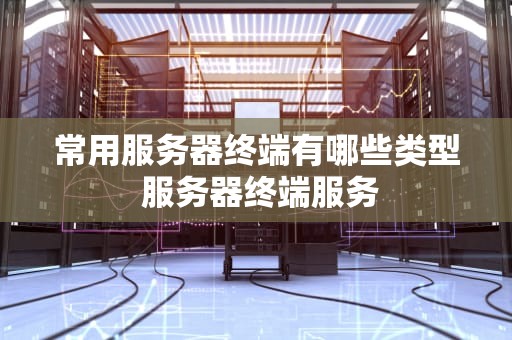 常用服务器终端有哪些类型 服务器终端服务