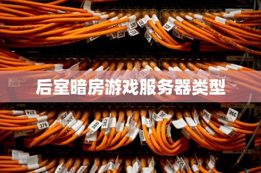 后室暗房游戏服务器类型