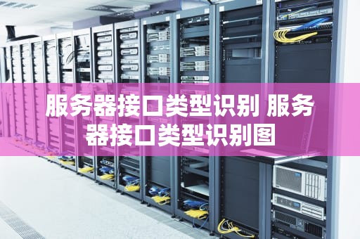服务器接口类型识别 服务器接口类型识别图