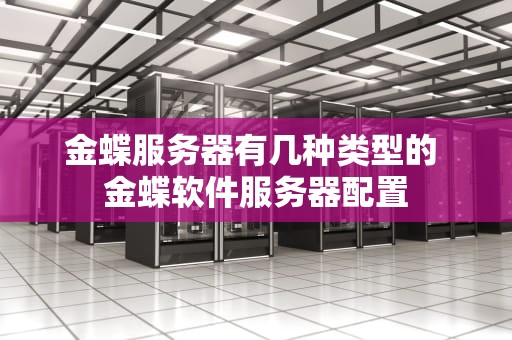 金蝶服务器有几种类型的 金蝶软件服务器配置