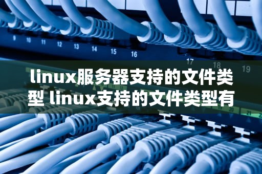 linux服务器支持的文件类型 linux支持的文件类型有哪些