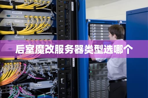 后室魔改服务器类型选哪个
