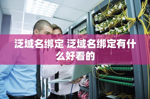 泛域名绑定 泛域名绑定有什么好看的