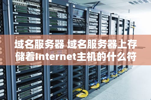 域名服务器 域名服务器上存储着Internet主机的什么符号？