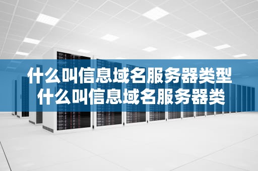 什么叫信息域名服务器类型 什么叫信息域名服务器类型的