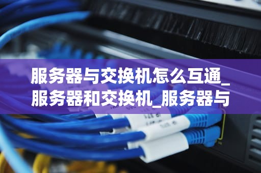 服务器与交换机怎么互通_服务器和交换机_服务器与交换机的互通性