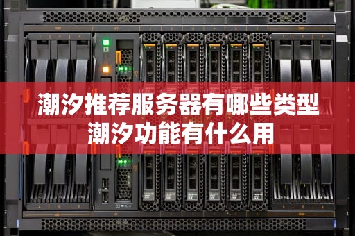 潮汐推荐服务器有哪些类型 潮汐功能有什么用