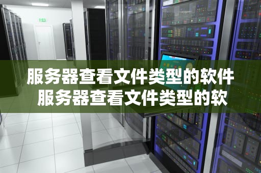 服务器查看文件类型的软件 服务器查看文件类型的软件有哪些
