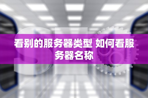 看别的服务器类型 如何看服务器名称