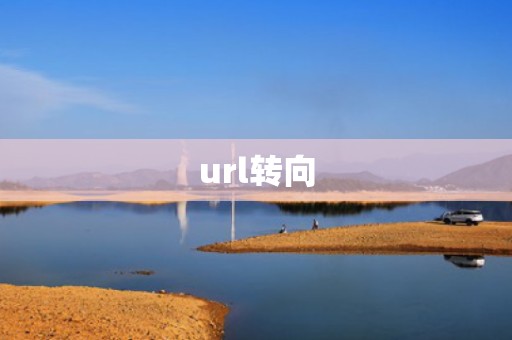 url转向