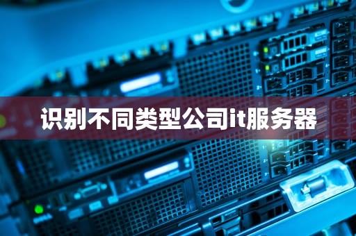识别不同类型公司it服务器