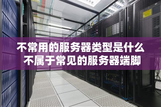 不常用的服务器类型是什么 不属于常见的服务器端脚本程序