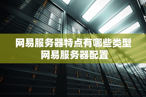 网易服务器特点有哪些类型 网易服务器配置