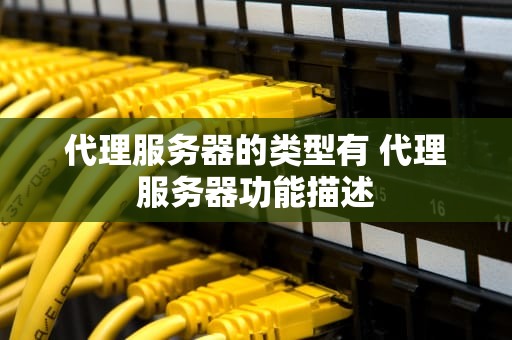 代理服务器的类型有 代理服务器功能描述