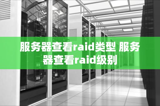服务器查看raid类型 服务器查看raid级别